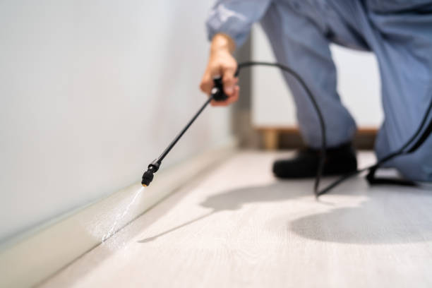 Licensed Pest Control service in Windsor, NC - Show Me Pest Control